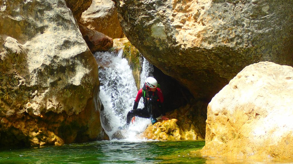 Opo en el barranco del Gorgas Negras